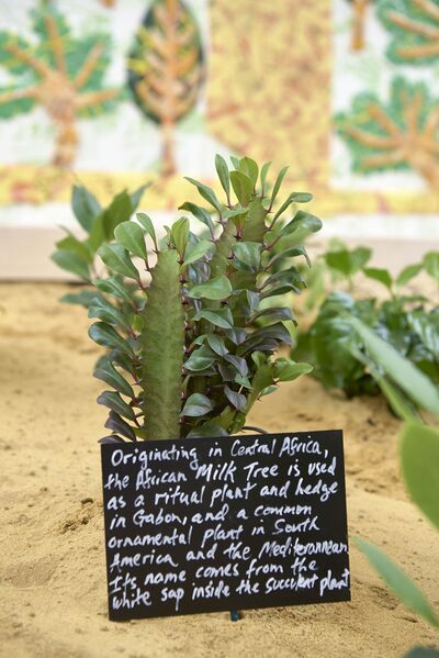 A uniquely shaped plant with sprouting leaves with a handwritten label.