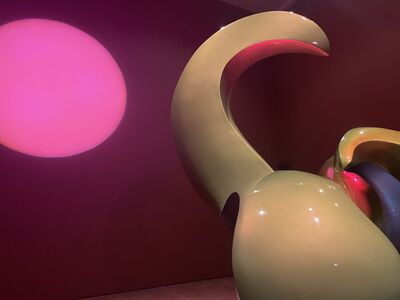 Close up of smooth sculpture with pink circle in the background