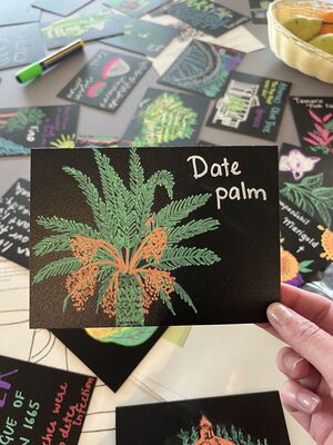 Drawing of Date Palm on black card