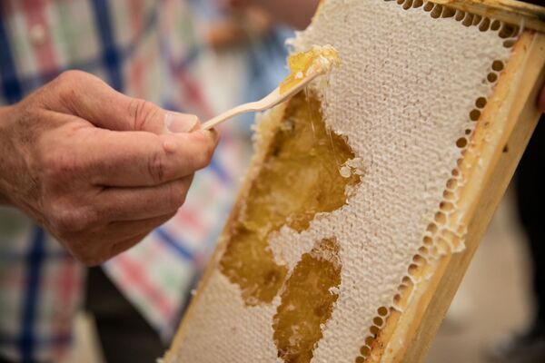 Honeycomb being scraped 