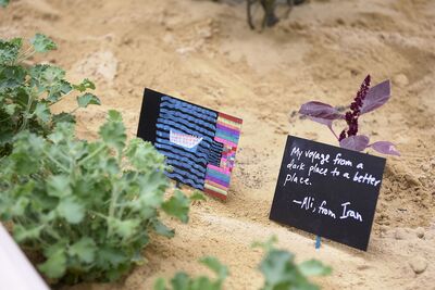 Fluffy herbs are labelled with handwritten notes and pictures.