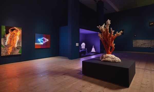 A large dark blue room with colourful marine artwork and sculptures displayed.