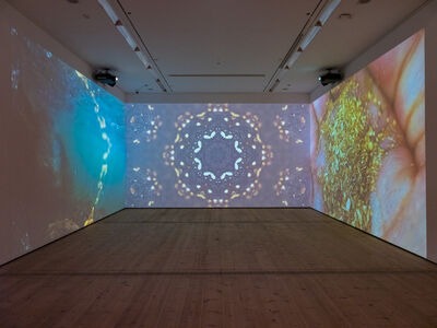 Bright coloured projections across all walls in a rool