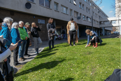 People stand on a bit of grass looking at nature in an urban surrounding 