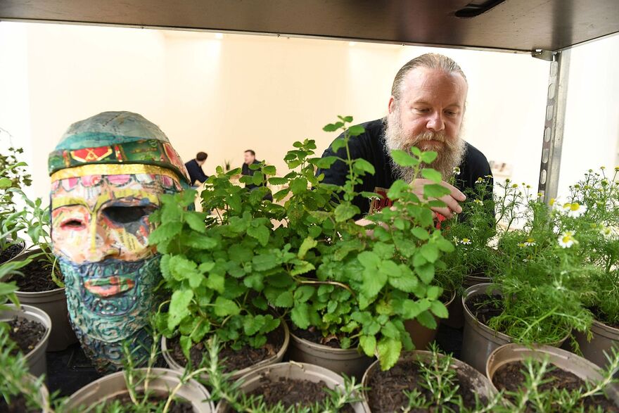 Figure touching plants