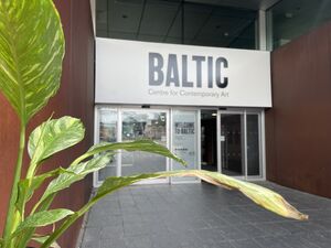 Houseplant in pot, held in front of Baltic