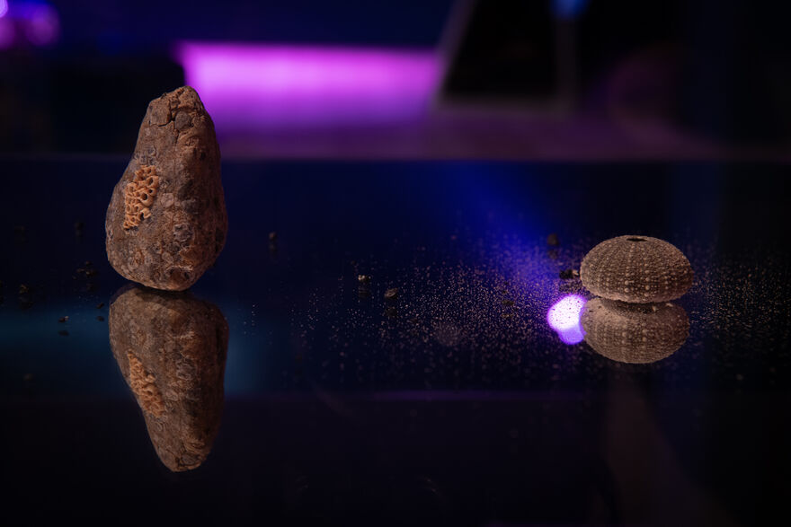 An interesting rock and a shell placed on a mirror so they are reflected from underneath. The background colours are deep blues and purples.