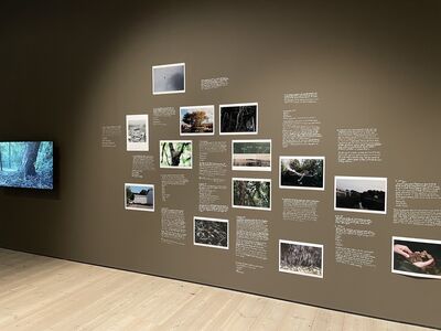 Images with descriptions on a coloured wall