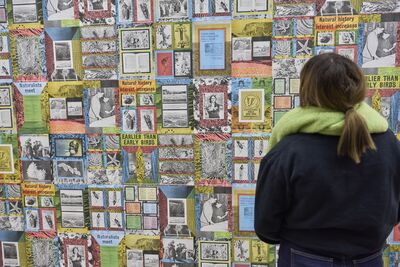 Visitor looking at wall of colourful archival photographs and print