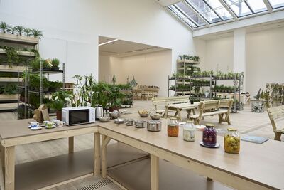 In the gallery, a table with saucepans and jars of pickle is surrounded by shelves of plants.
