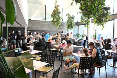 A busy cafe with plants hanging overhead.
