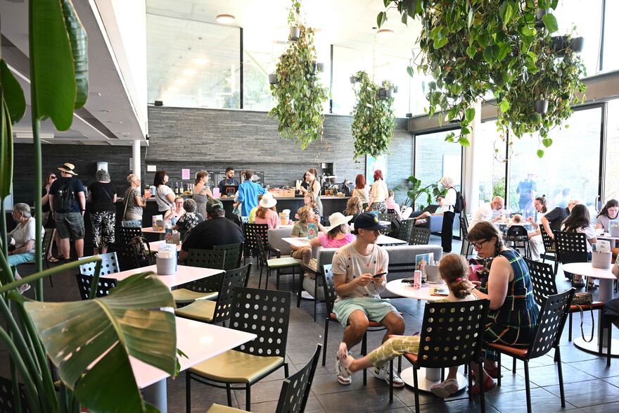 A busy cafe with plants hanging overhead.