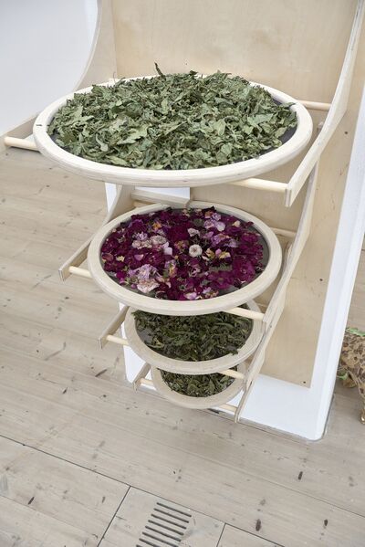 4 wooden circles of drying herbs and flowers