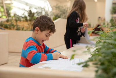 Boy wearing red and blue stripey top colouring in and surrounded by plants.