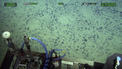 Rob Smith Benthic images recorded by a Remotely Operated Vehicle video camera during cruise JC241 in the eastern Clarion-Clipperton Zone (Pacific Ocean, 2023) 