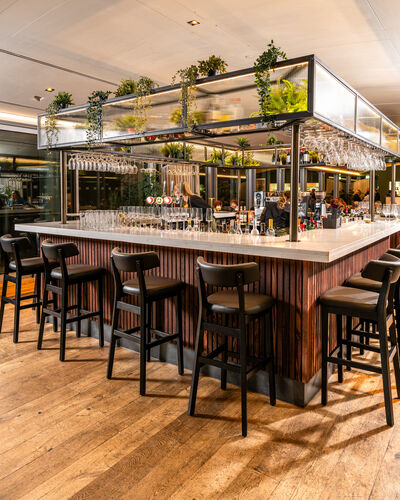 Wooden bar, with brown leather bar stools surrounded by green plants.