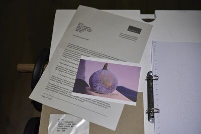 Open letter with image of fig