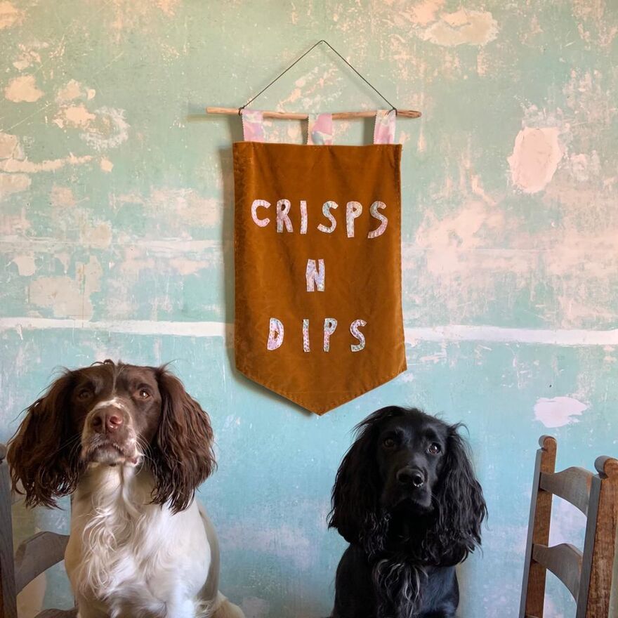 Two spaniels stand in front of a wall banner that says crisps 'n' dips