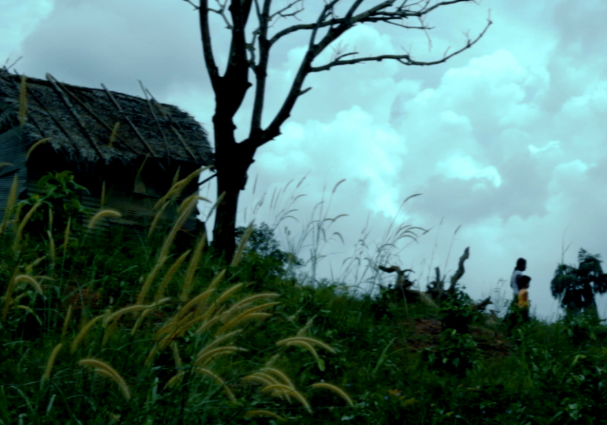 A hut, tree and two people walking through long grass on a grey day.