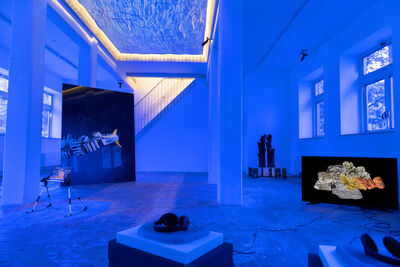 a blue room depicting marine life