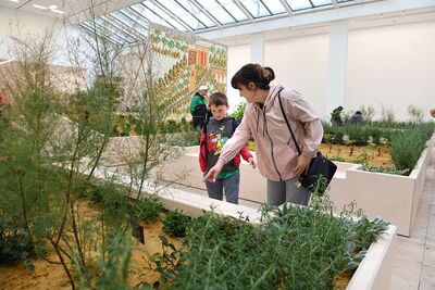 Person points at a plant to younger visitor