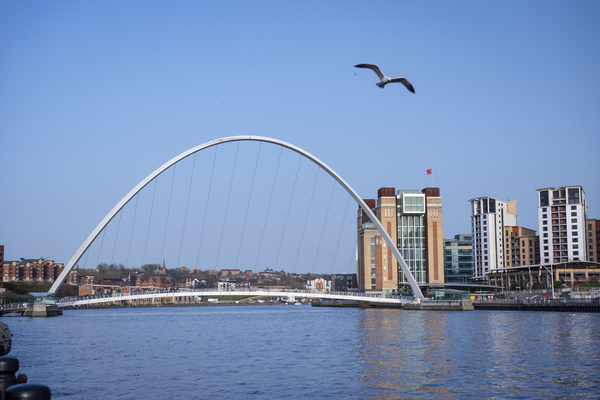 Bird flying over Quayside river with Gateshead millenium bridge and Baltic in the background,