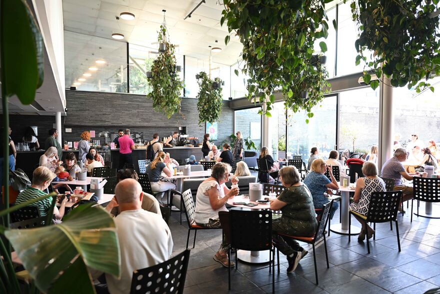 A busy cafe with plants hanging overhead.