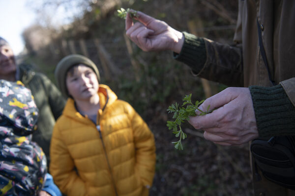 a person holds up a plant to show people on an urban nature trail tour 