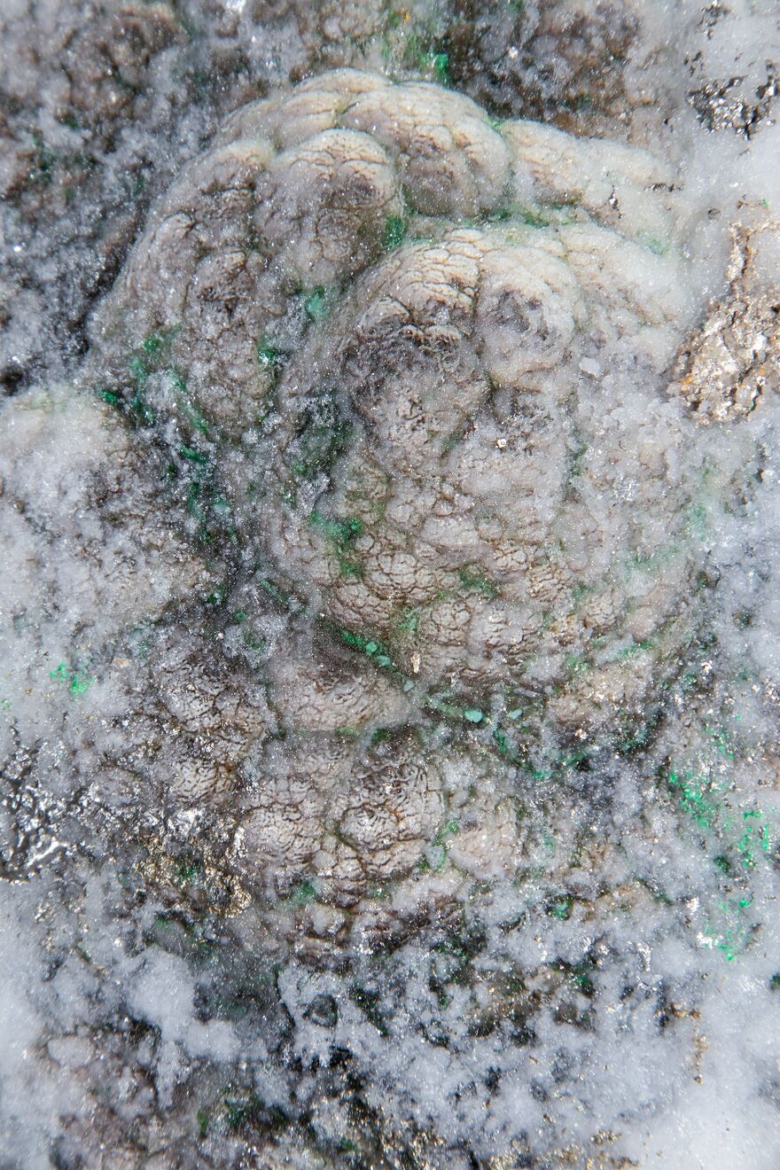  Image credits: Kristina Õllek Breathing Deep Currency 2025 Installation Courtesy of the art