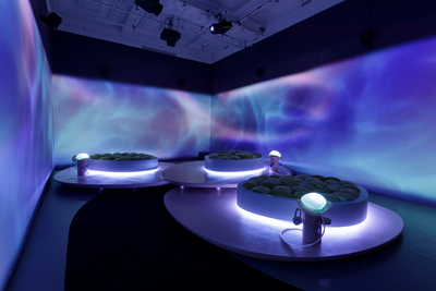 Installation view, Keiken: Sensory Oversoul, 2025-2026, PHI. © PHI