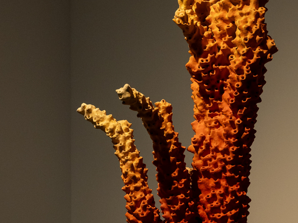 A large coral sculpture in yellows and oranges